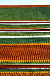 Similar image 7841607