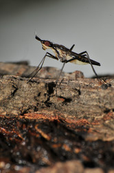 Similar image 7841628