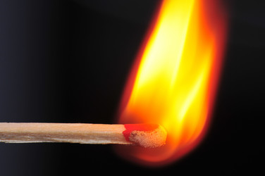 Similar image 7841629