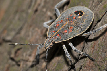 Similar image 7841646