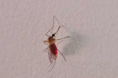 Similar image 7841647