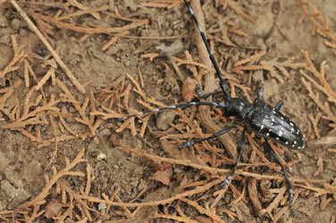 Similar image 7841648