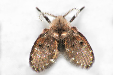 Similar image 7841649