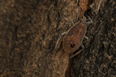 Similar image 7841650