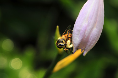 Similar image 7841651