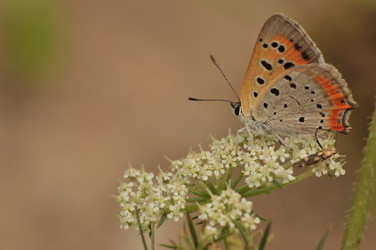 Similar image 7841652