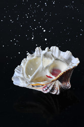 Similar image 7841653