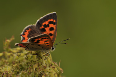 Similar image 7841654