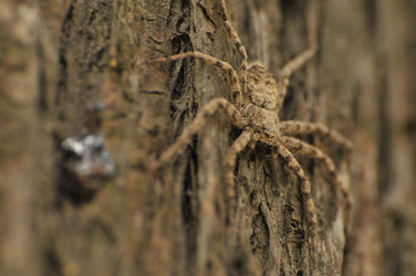 Similar image 7841655