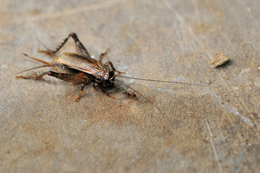 Similar image 7841656