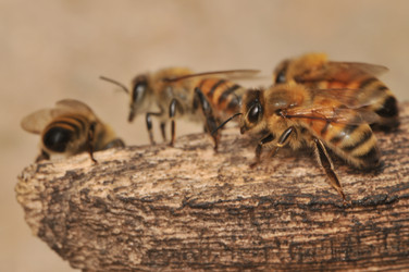 Similar image 7841660