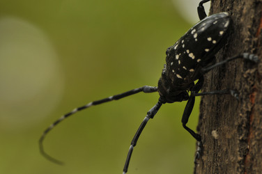 Similar image 7841662