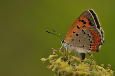 Similar image 7841666