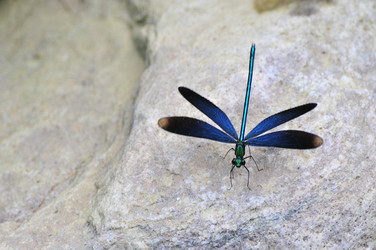 Similar image 7841670