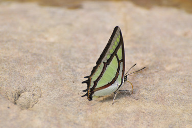 Similar image 7841674