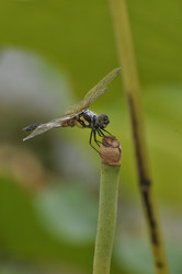 Similar image 7841675