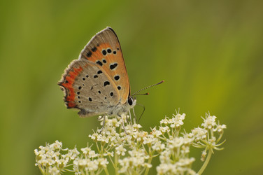 Similar image 7841678