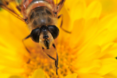 Similar image 7841679