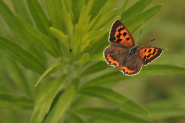 Similar image 7841680