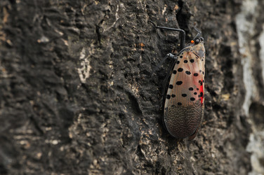 Similar image 7841682