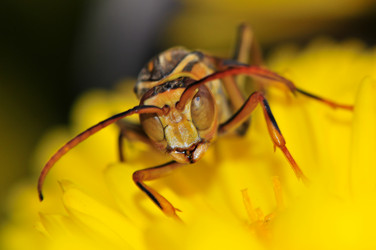 Similar image 7841683