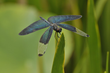 Similar image 7841684