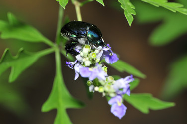 Similar image 7841688