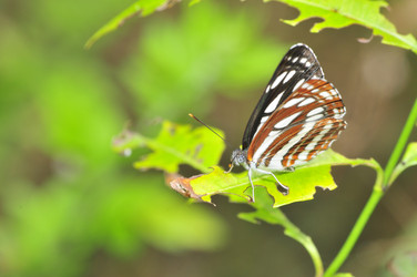 Similar image 7841689