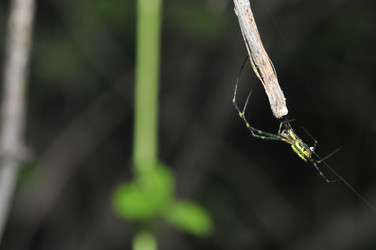 Similar image 7841691