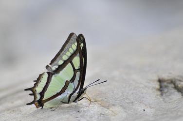 Similar image 7841693