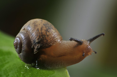 Similar image 7841695