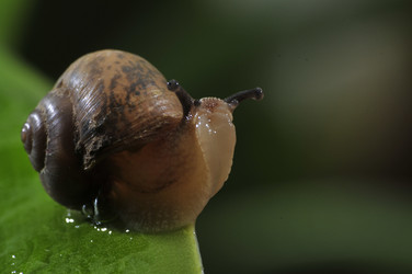 Similar image 7841696