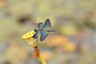 Similar image 7841698