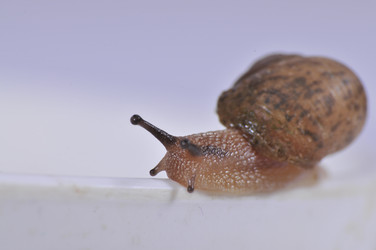 Similar image 7841699