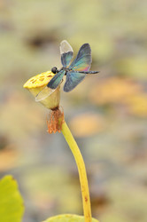 Similar image 7841700