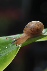 Similar image 7841701