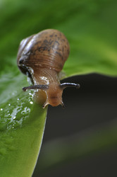 Similar image 7841702