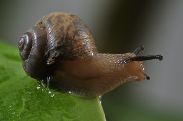 Similar image 7841703