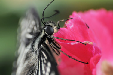 Similar image 7841708