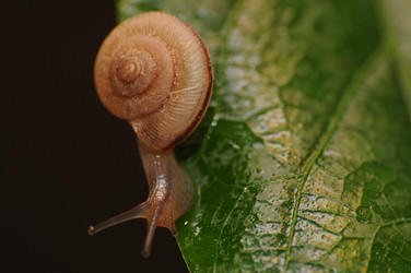 Similar image 7841721