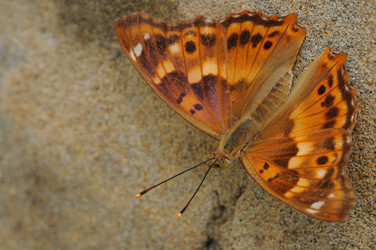 Similar image 7841722