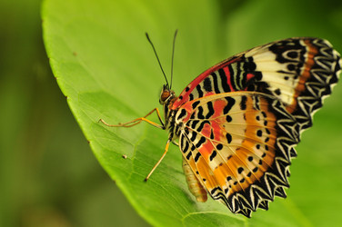 Similar image 7841727