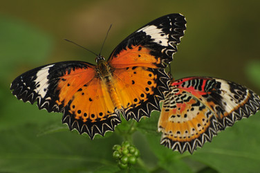 Similar image 7841729