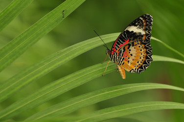 Similar image 7841730