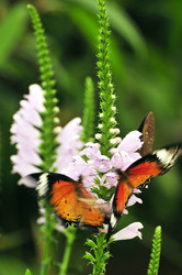 Similar image 7841731