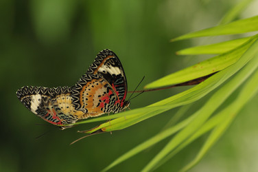 Similar image 7841732