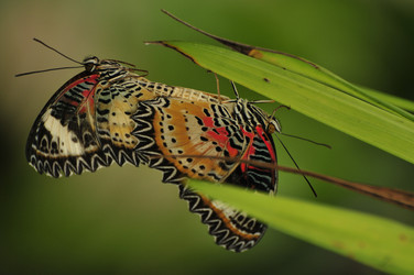 Similar image 7841733