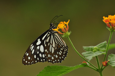 Similar image 7841734