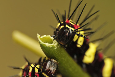 Similar image 7841735