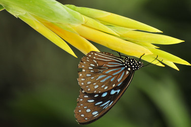 Similar image 7841745